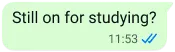 WhatsApp 文字气泡示例，其中写着“还要学习吗”